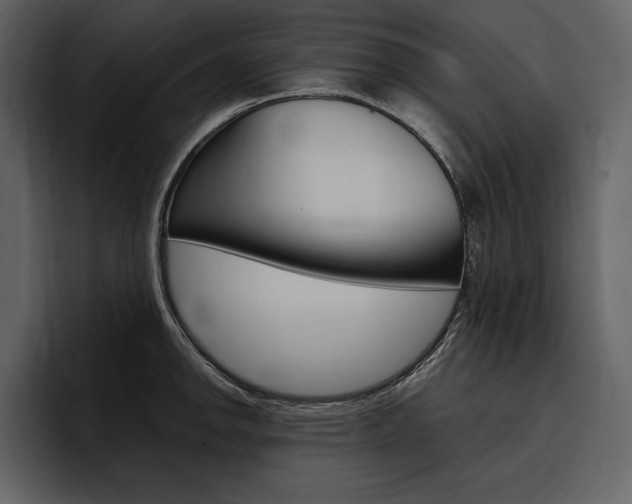 X0000097481142200802220815
