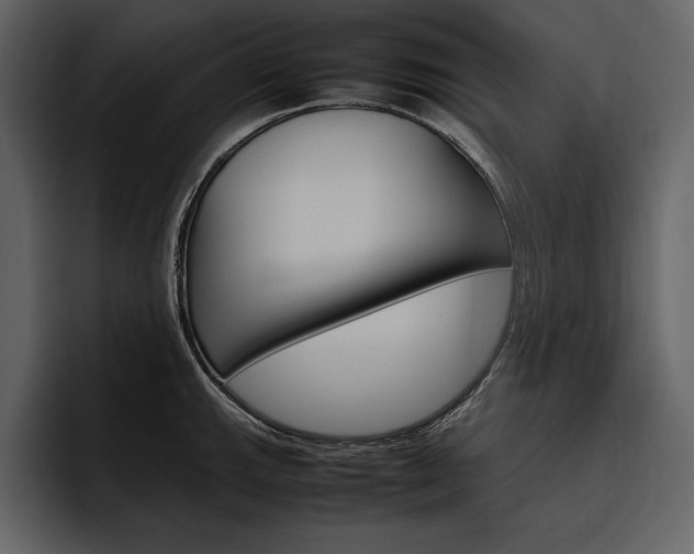 X0000097481143200802220815