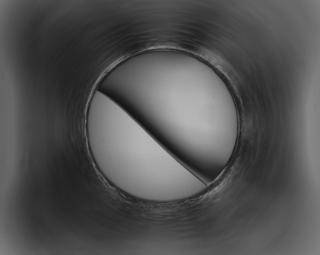 X0000097481145200802220815