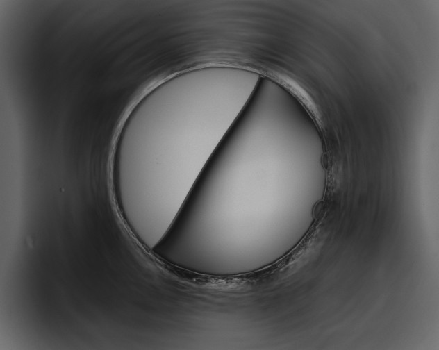 X0000097481146200802220815