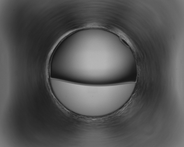 X0000097481148200802220815
