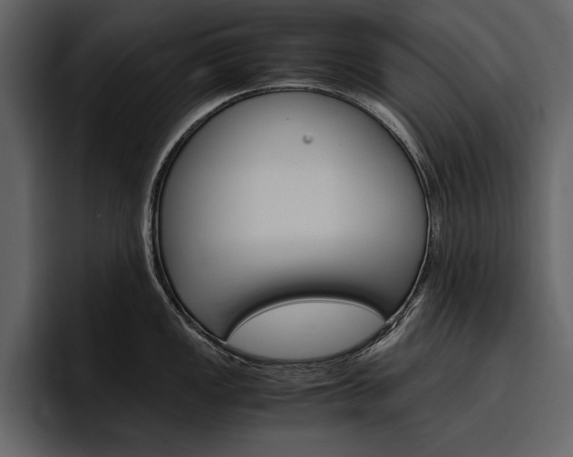 X0000097481149200802220815