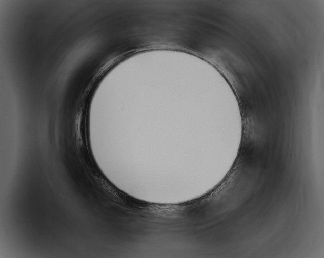 X0000097481150200802220815