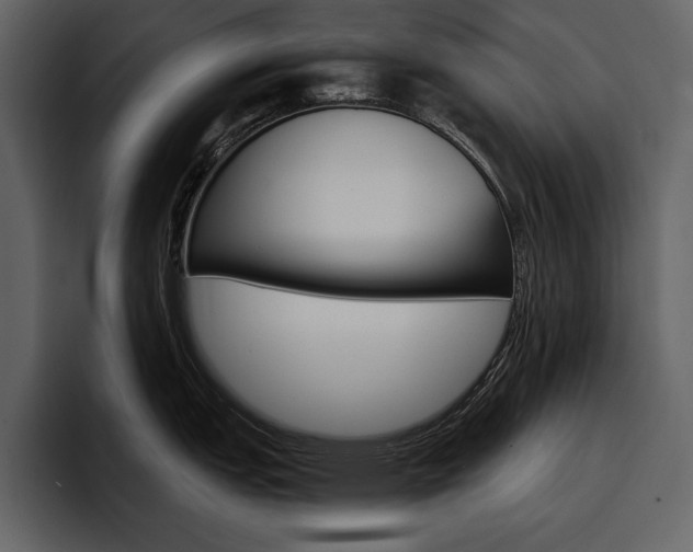 X0000097481151200802220815