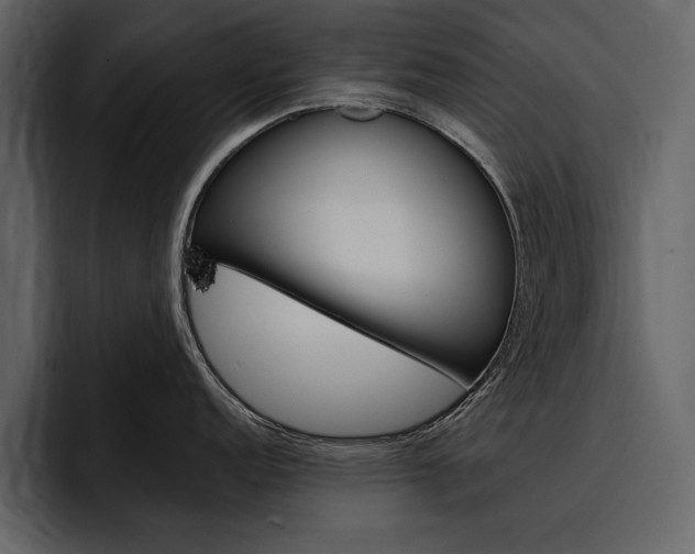 X0000097481152200802220815