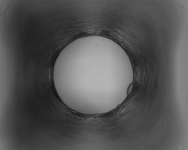 X0000097481154200802220815
