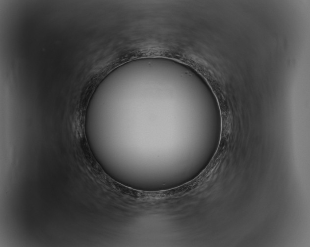X0000097481157200802220815