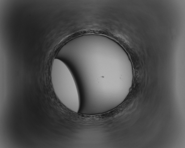 X0000097481159200802220815