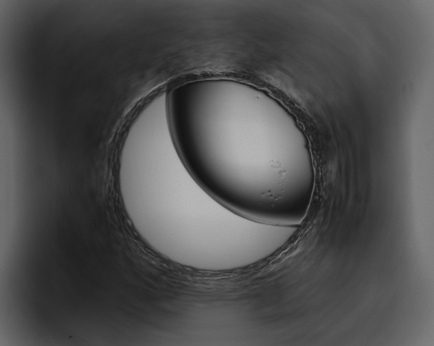 X0000097481160200802220815