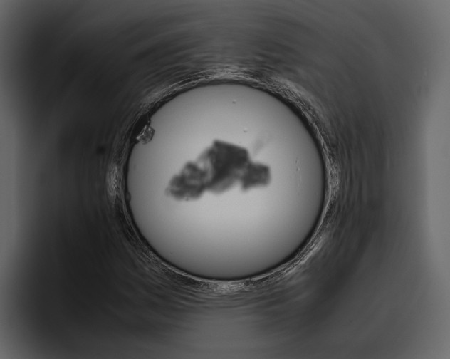 X0000097481161200802220815