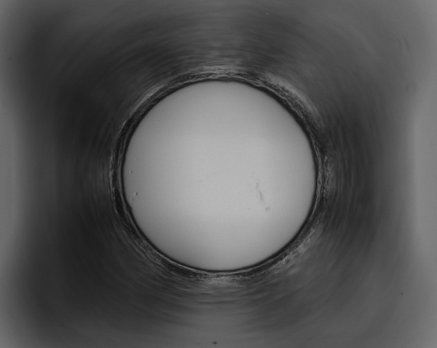 X0000097481162200802220815