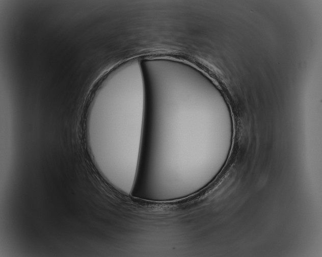 X0000097481163200802220815