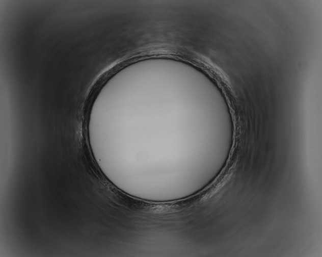 X0000097481166200802220815