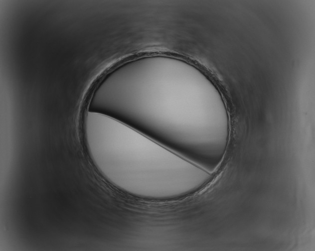 X0000097481167200802220815