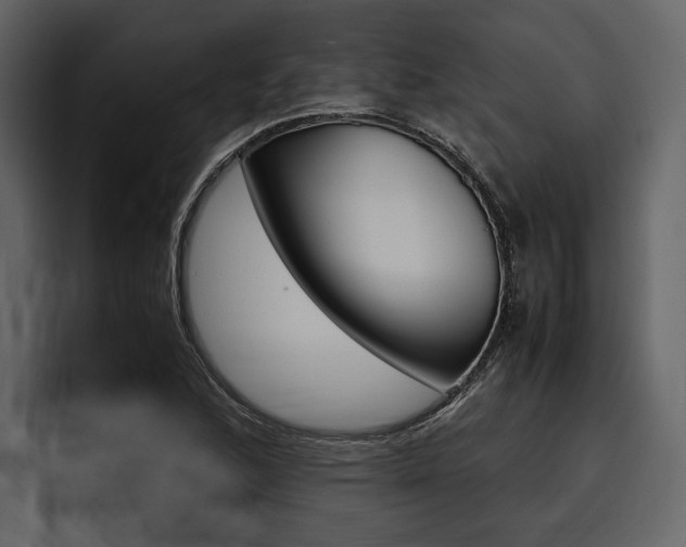 X0000097481168200802220815