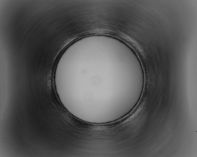 X0000097481170200802220815