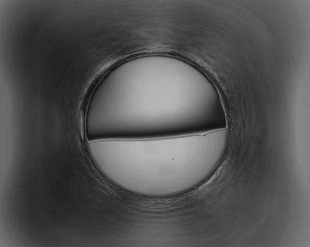 X0000097481171200802220815
