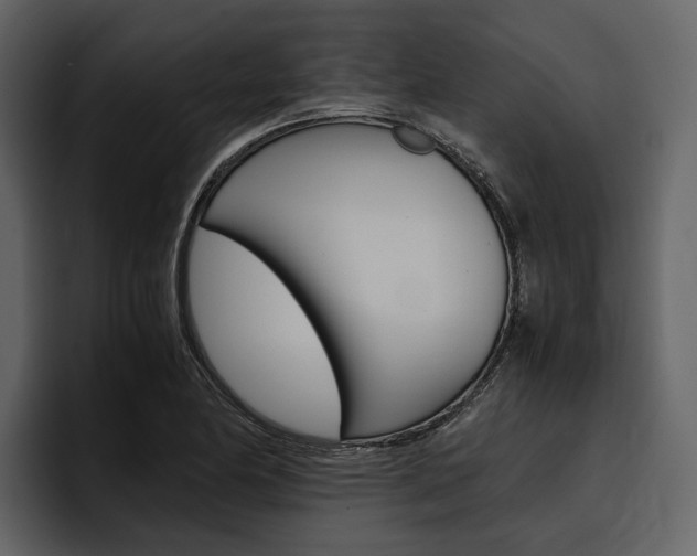 X0000097481174200802220815