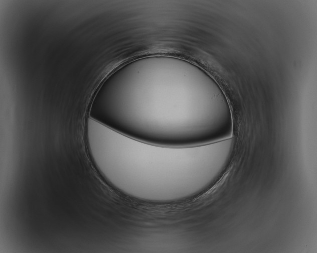 X0000097481177200802220814