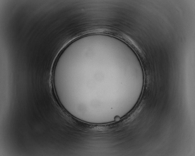 X0000097481178200802220814
