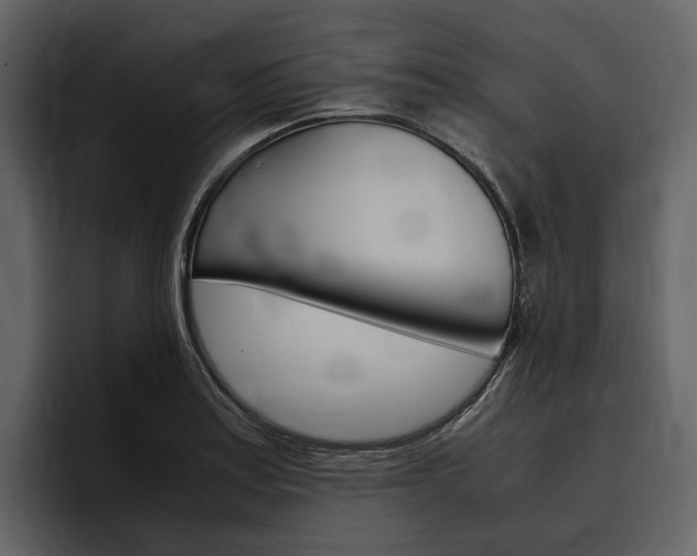 X0000097481179200802220814