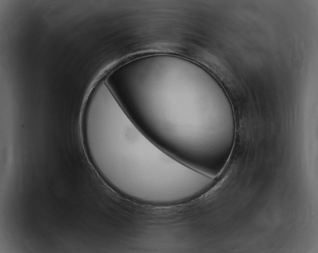 X0000097481180200802220814