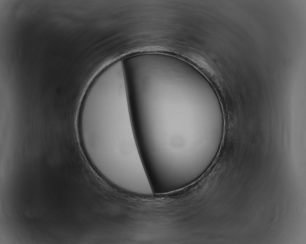 X0000097481181200802220814