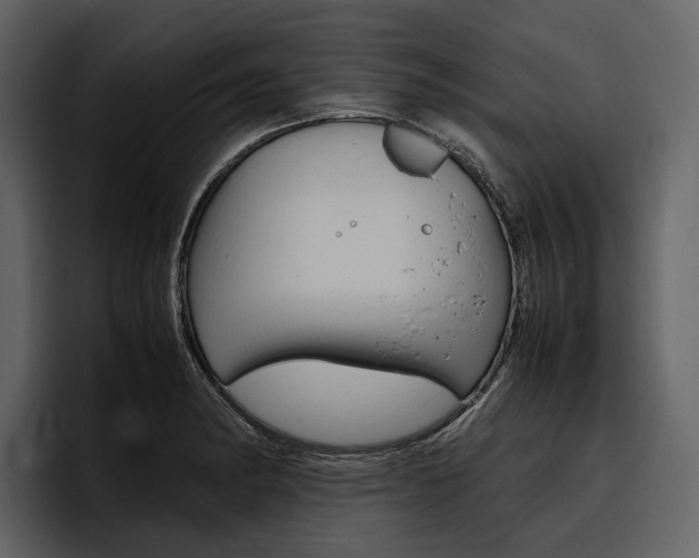 X0000097481182200802220814