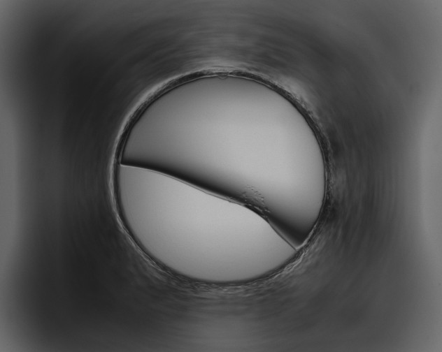 X0000097481183200802220814