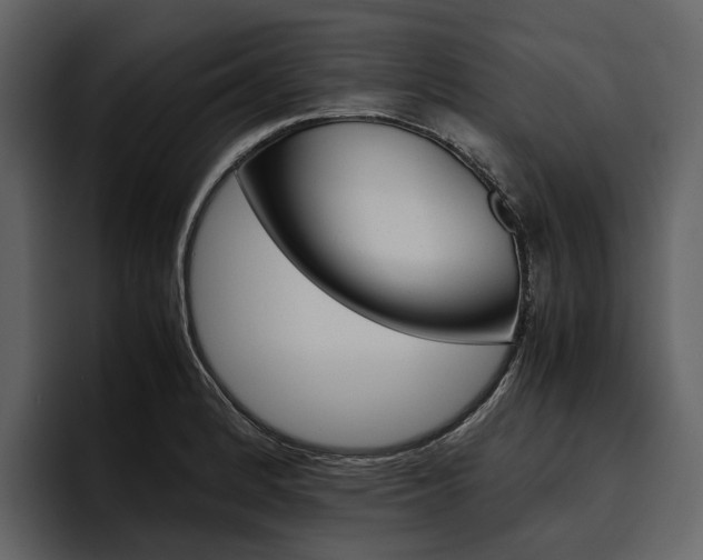 X0000097481184200802220814