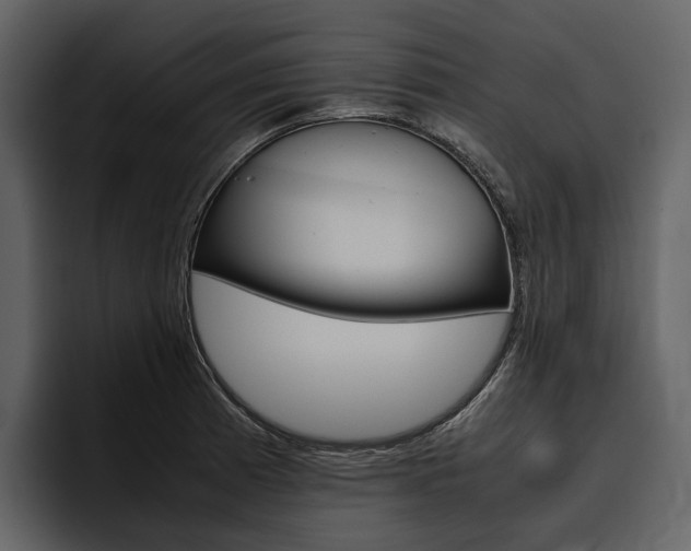X0000097481185200802220814