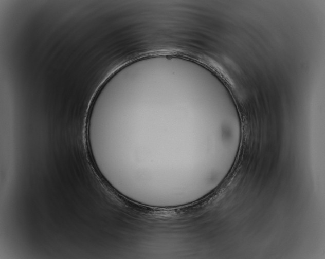X0000097481186200802220814