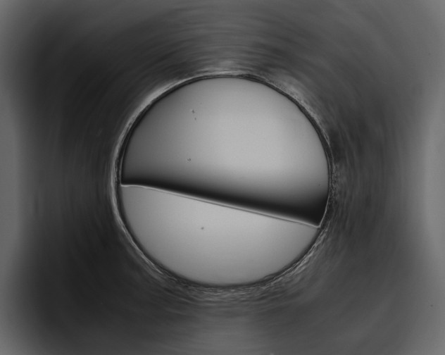X0000097481187200802220814