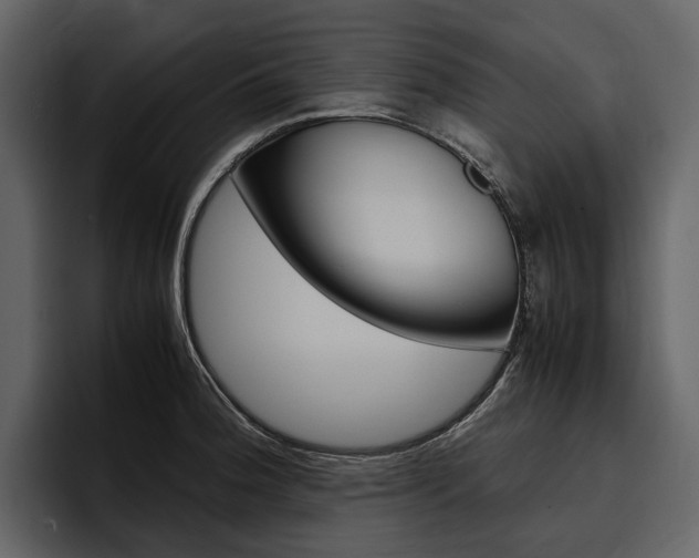 X0000097481188200802220814