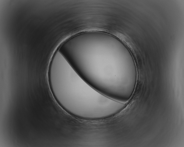 X0000097481189200802220814