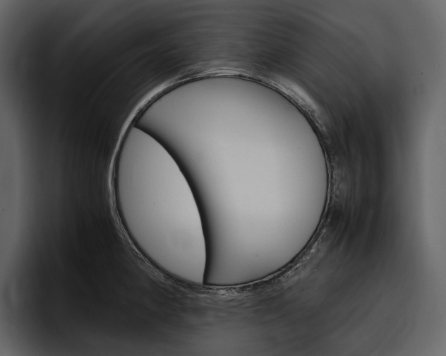 X0000097481190200802220814
