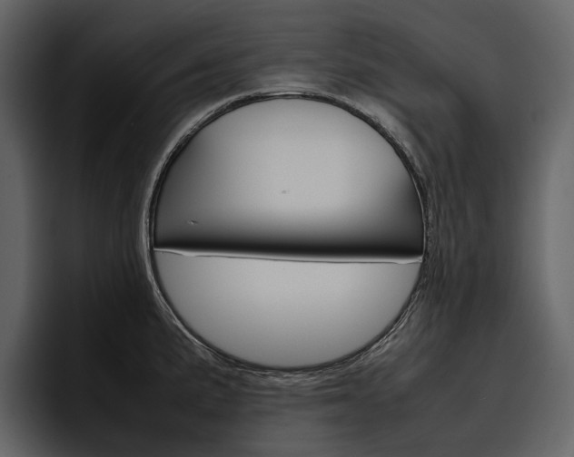 X0000097481191200802220814