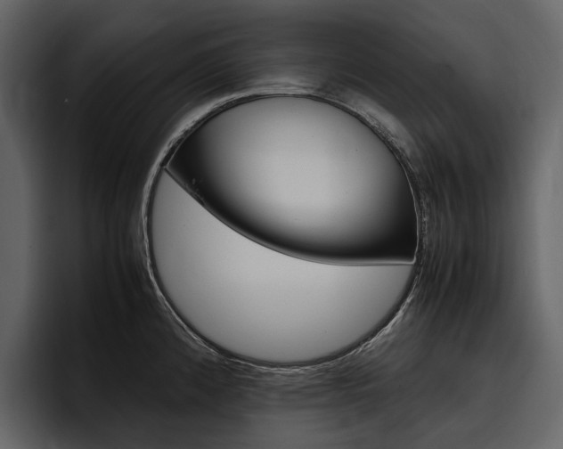 X0000097481192200802220814
