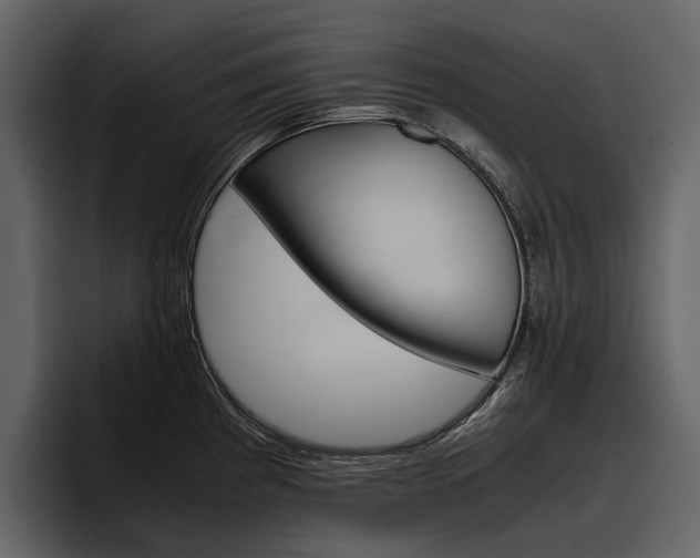 X0000097481193200802220814