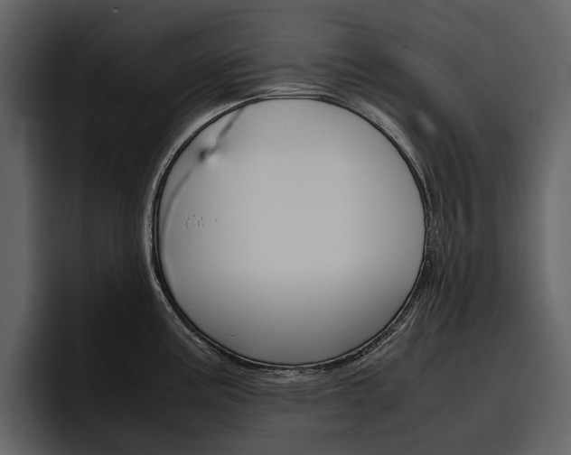 X0000097481195200802220814