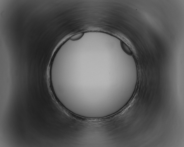 X0000097481198200802220814