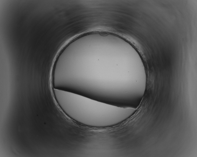 X0000097481199200802220814