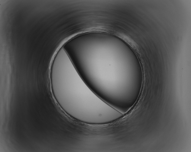 X0000097481200200802220814
