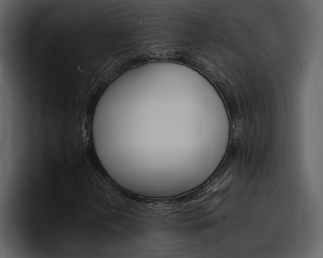 X0000097481202200802220814