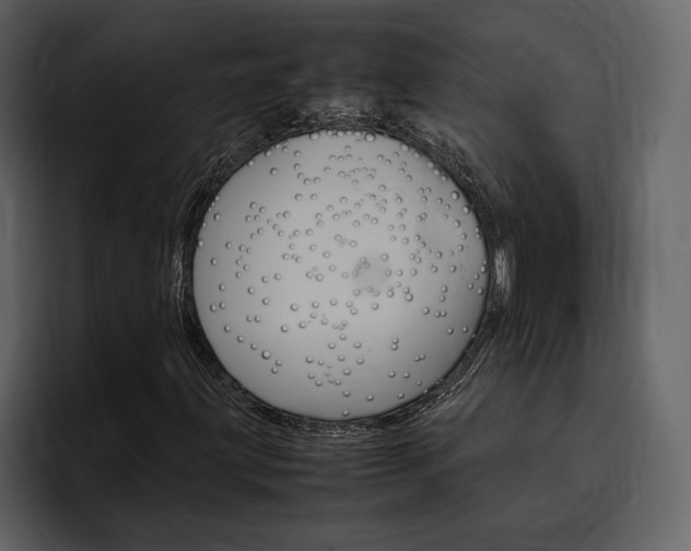 X0000097481203200802220814