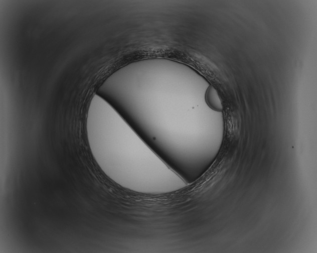 X0000097481204200802220814