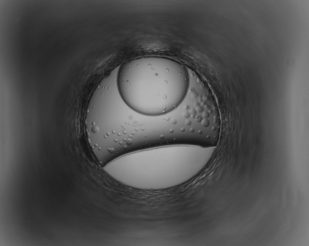 X0000097481205200802220814