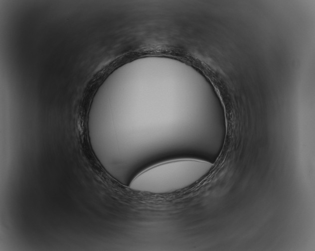 X0000097481206200802220814