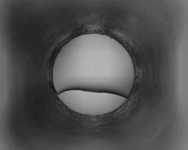 X0000097481207200802220814