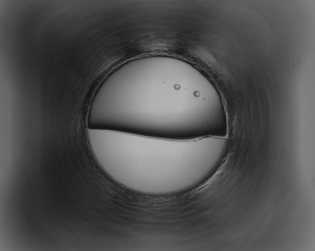 X0000097481209200802220814